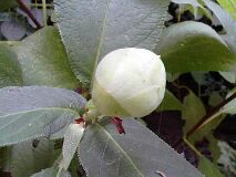 �^�}�A�W�T�C�Q