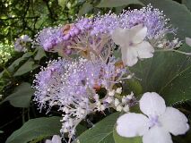 �^�}�A�W�T�C